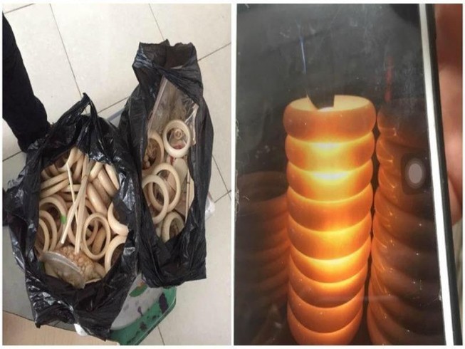Vụ bắt 6 kg nghi ngà voi: Chỉ có 0,76 kg là thật