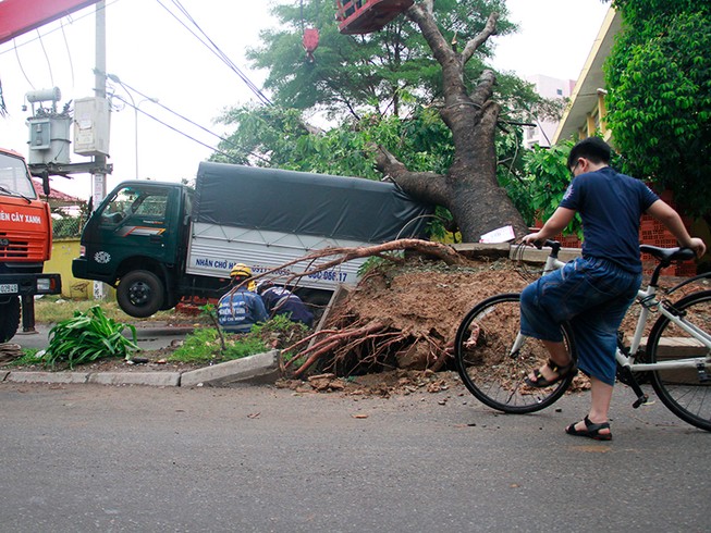 Sập mái nhà, đổ cây, cột điện... sau trận lốc ở Gò Vấp