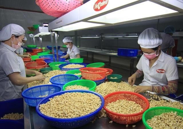 Chuyên gia châu Âu 'mách nước' cho nông sản Việt