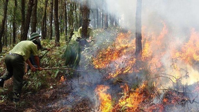 Báo động đỏ về cháy rừng trên cả nước