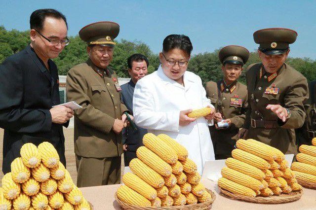 Nhà lãnh đạo Triều Tiên đi thăm một nông trang. Ảnh: AFP.