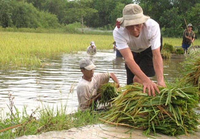 Thủ tướng chỉ đạo ứng phó lũ lụt trên cả nước