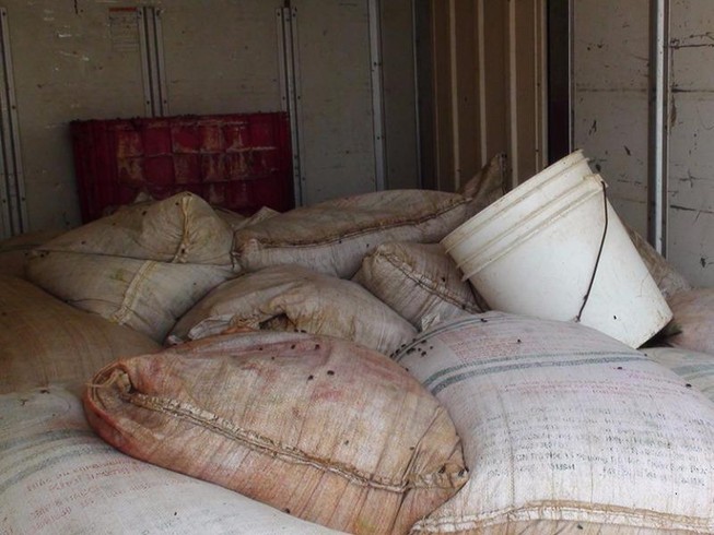 Bắt giữ 700 kg nội tạng hôi thối dùng nuôi cá bè