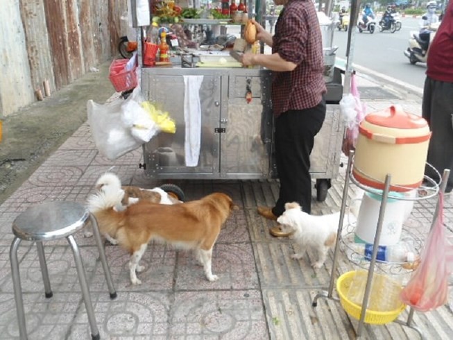 Ông Đoàn Ngọc Hải yêu cầu dẹp nạn chó thả rông ở quận 1