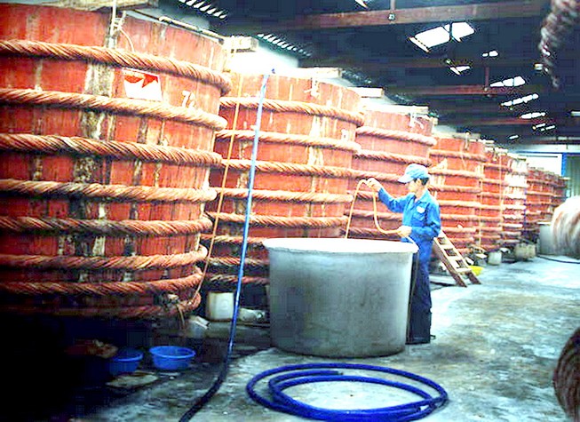 T&A Ogilvy tài trợ Vinastas bằng 'ngân sách công ty'