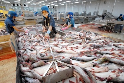 Thượng viện Mỹ bỏ giám sát cá tra VN, chờ ông Obama ký thành luật