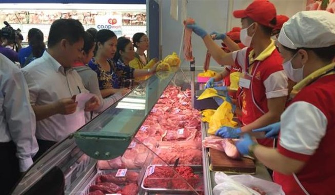 Cả nước chung tay giải cứu, người nuôi heo vẫn lao đao