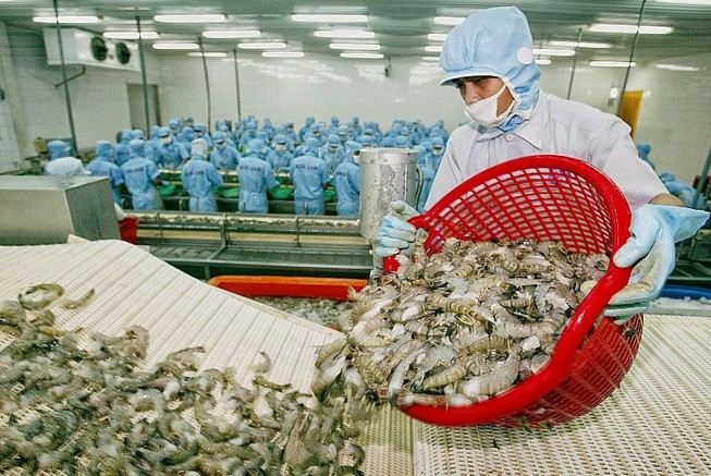 Trung Quốc bất ngờ 'ăn' mạnh tôm Việt Nam
