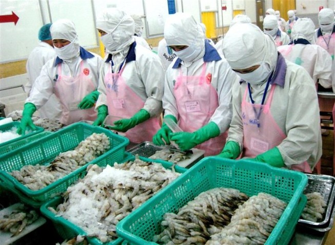 Nhiều mặt hàng tôm Việt Nam xuất sang EU hưởng thuế 0%