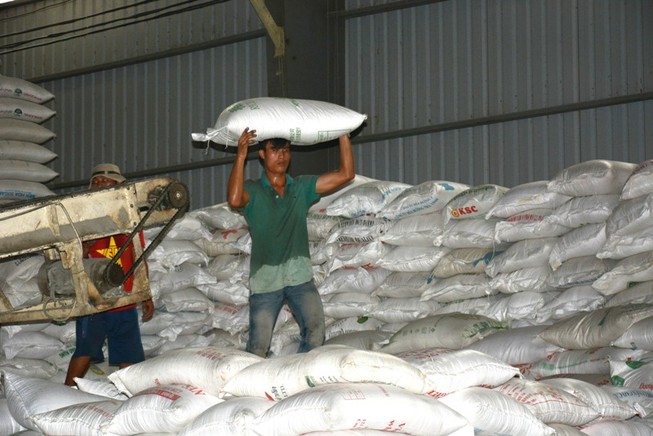 Gạo Việt trúng hợp đồng 'khủng' xuất sang Philippines