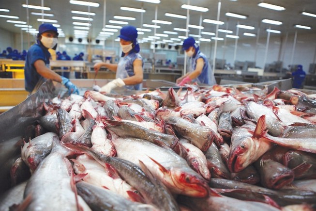 Đề nghị Trung Quốc phối hợp siết chất lượng cá tra
