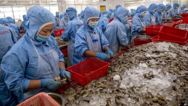 Mỹ gây 'sốc' khi áp thuế bán phá giá 0% với tôm Việt Nam