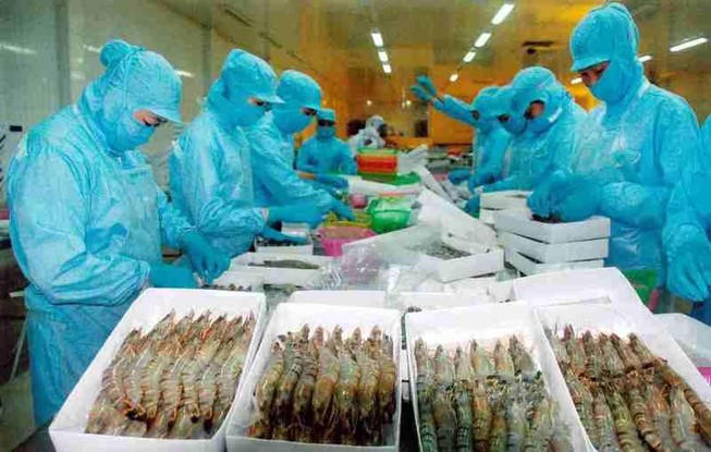 Tôm Việt vào Mỹ với mức thuế 0%