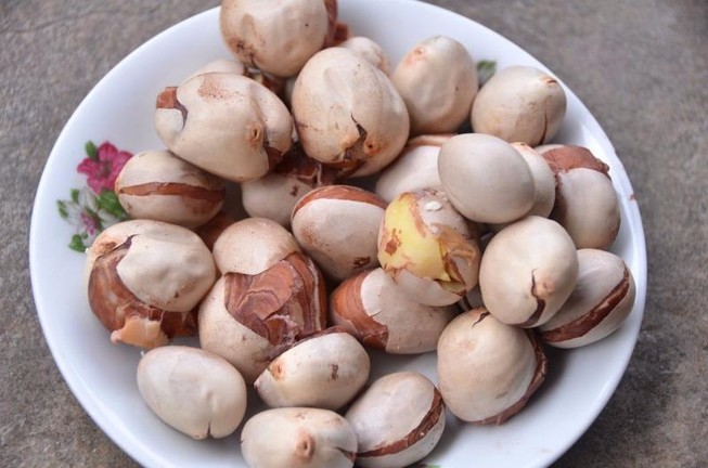 10 lý do thuyết phục bạn nên ăn hạt mít