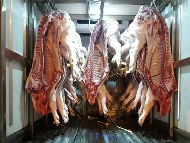 Nhận biết heo lở mồm long móng trong những ngày cận Tết
