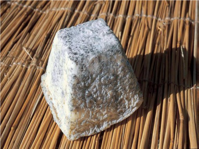 Phô mai Pháp nhập về Việt Nam nhiễm Ecoli O157:H7