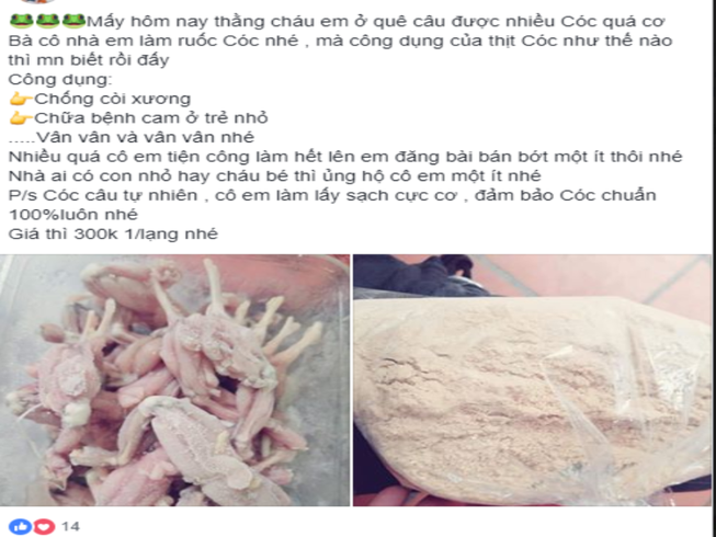 Thịt cóc có phải 'thần dược' cho trẻ còi xương?
