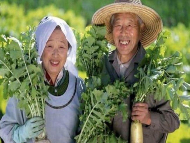 Nguyên tắc ăn uống của người Nhật giúp kéo dài tuổi thọ