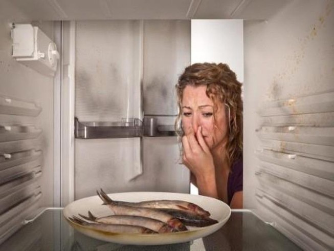 Bất ngờ cúp điện: Giữ thực phẩm như thế nào cho an toàn?