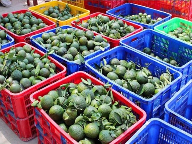 Sử dụng cam đúng thời điểm để mang lại hiệu quả