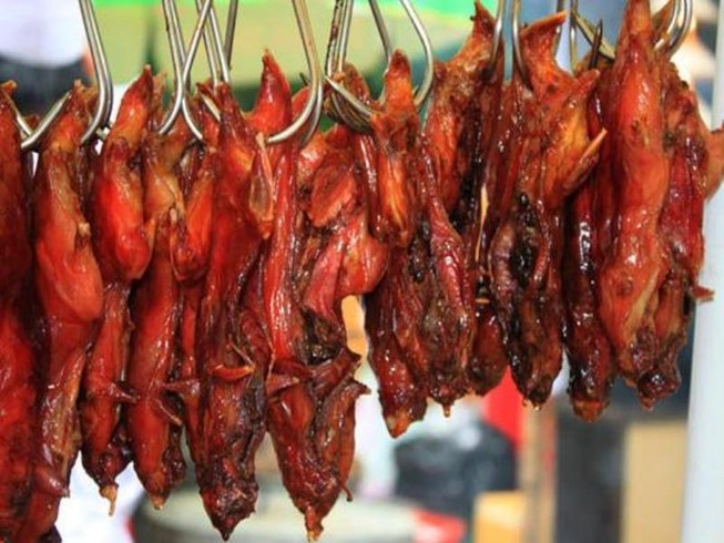 Cẩn trọng khi dùng chuột làm thức ăn