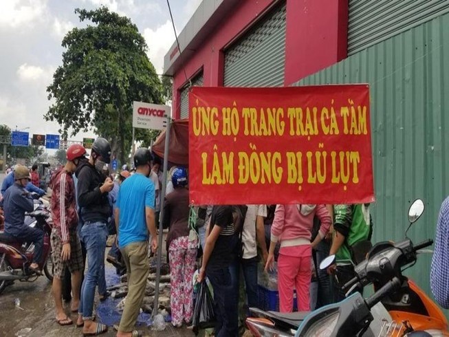 Cận cảnh giải cứu cá tầm 'chạy lũ' ở vỉa hè TP.HCM