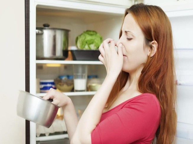 Vì sao thực phẩm lưu trữ trong tủ lạnh cũng dễ bị hỏng?