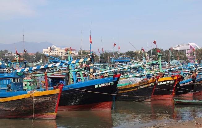 Bình Thuận cấm tàu ra biển từ 10 giờ ngày 3-1