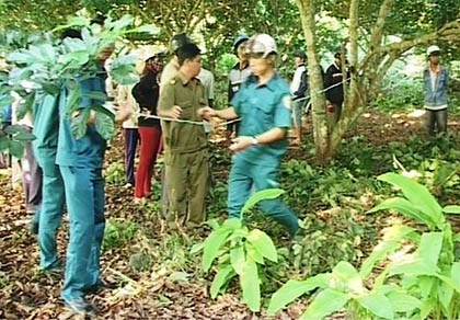 Nam thanh chết trong tư thế treo cổ ở rẫy chôm chôm