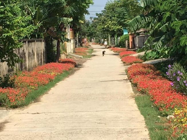 Làng hoa mười giờ đẹp bình dị bên dòng Nhật Lệ