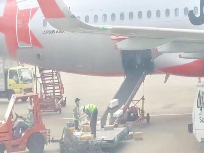 Jetstar sa thải 2 nhân viên bốc xếp quăng đồ của khách