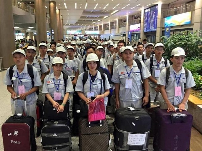 Mang sản phẩm làm từ thịt heo sang Hàn bị phạt 200 triệu
