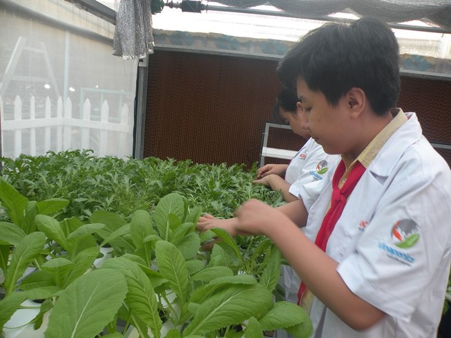 Sở GD TP.HCM yêu cầu các trường không tổ chức lớp chọn