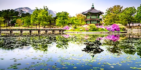 Visa đi du lịch Hàn Quốc được rút ngắn ra sao?