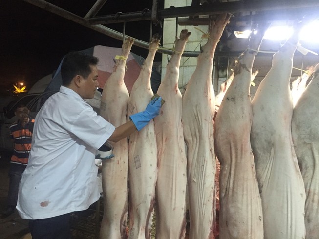 Mỗi năm dân TP.HCM chi hơn 18.000 tỉ đồng mua thịt heo