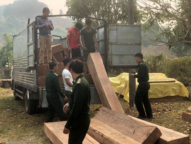 Phát hiện đưa gỗ trái phép từ Lào về Việt Nam