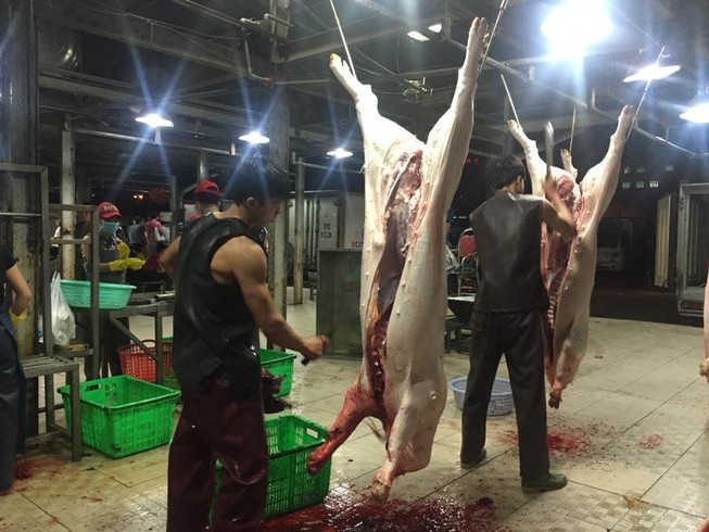 Một số huyện ở Đồng Nai công bố dịch tả heo Châu Phi