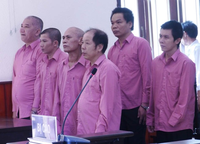 Bình Định: Xử vụ phá rừng lớn nhất từ trước đến nay