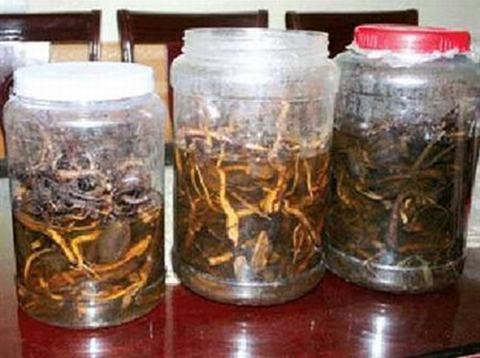 (Hình minh họa)
