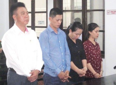12 luật sư bào chữa cho tổng giám đốc chứa mại dâm