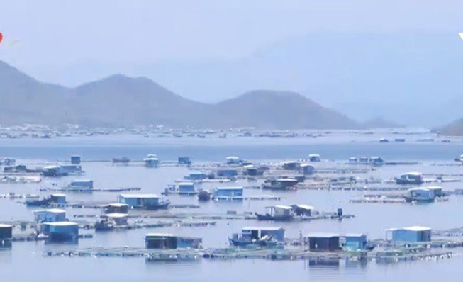 Mưa to, gió giật mạnh ở Vạn Ninh
