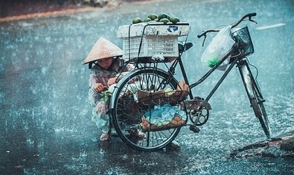 Con gửi mẹ một đêm mưa