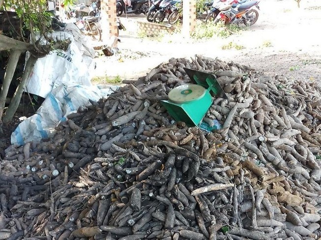 Vụ người thu gom mì mót bị chết: Công an mời chủ đại lý