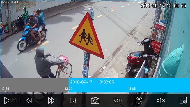 Ai đã lấy trộm con chim chào mào của chủ quán cà phê?