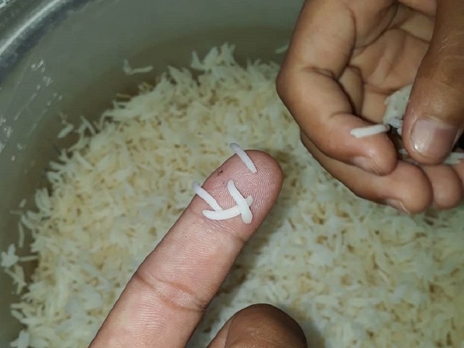 Cà Mau xác minh thông tin gạo dài bất thường nghi là gạo giả