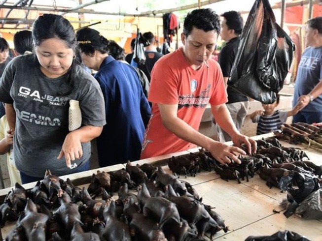 Các loài động vật hoang dã được bày bán công khai tại khu chợ Tomohon, Bắc Sulawesi, Indonesia. Ảnh: BLOOMBERG