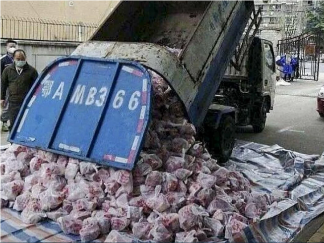 Quan chức Vũ Hán bị sa thải vì dùng xe rác chở thịt cho dân