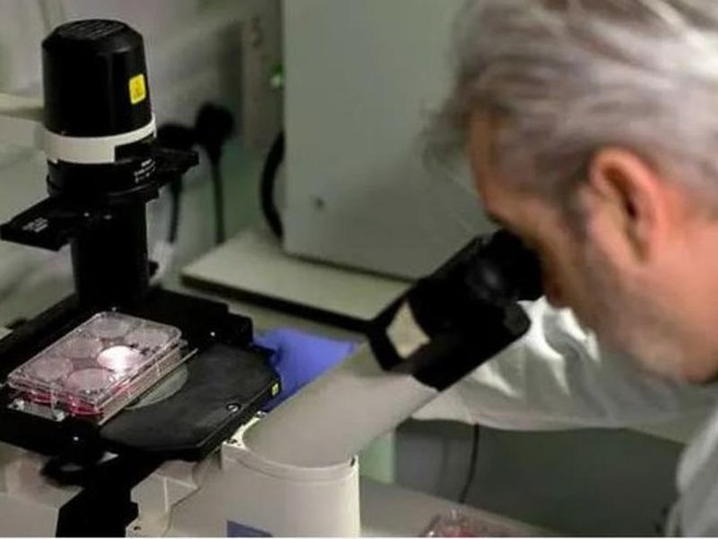 Bác sĩ Paul McKay đang dùng kính hiển vi để quan sát virus COVID-19 tại phòng thí nghiệm của Đại học y khoa Hoàng gia London. Ảnh: AFP