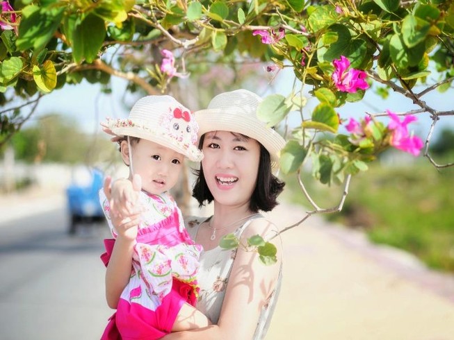 Về xứ Phan ngắm hoa ban đỏ rợp trời