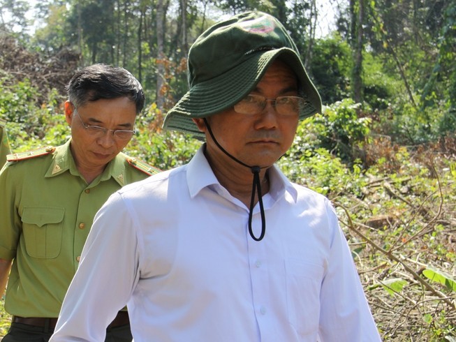 Lãnh đạo khu bảo tồn ở Đồng Nai nói về việc cây rừng bị hạ